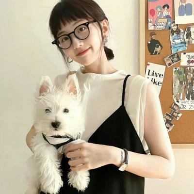 报仇雪恨